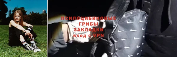 PSILOCYBIN Медвежьегорск