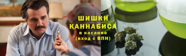 прущие крисы Магас