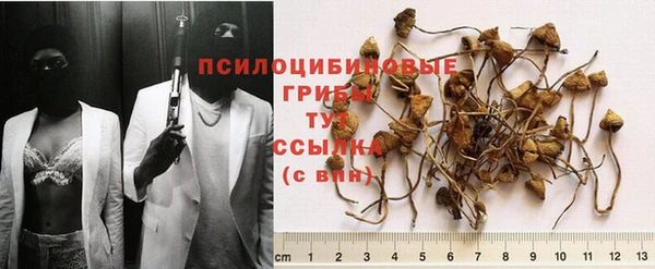 мет Новозыбков