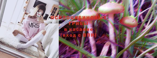 прущие крисы Магас